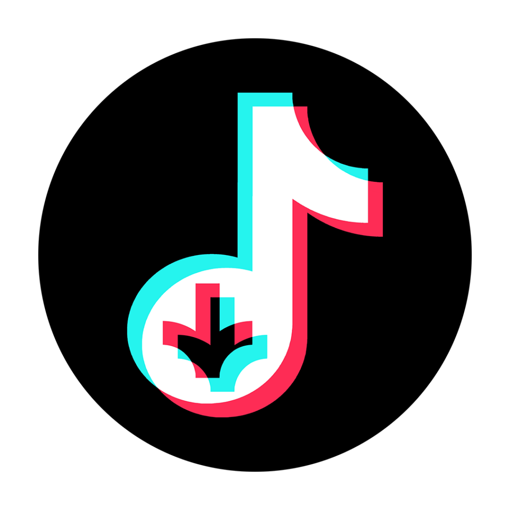 ttdownloader-the-web-online-app-to-download-tiktok-videos-without