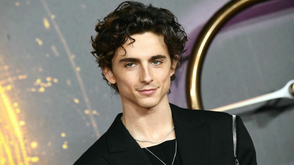 What Is Timothée Chalamet's Height? His Stats (Height, Age, B-Day, And ...