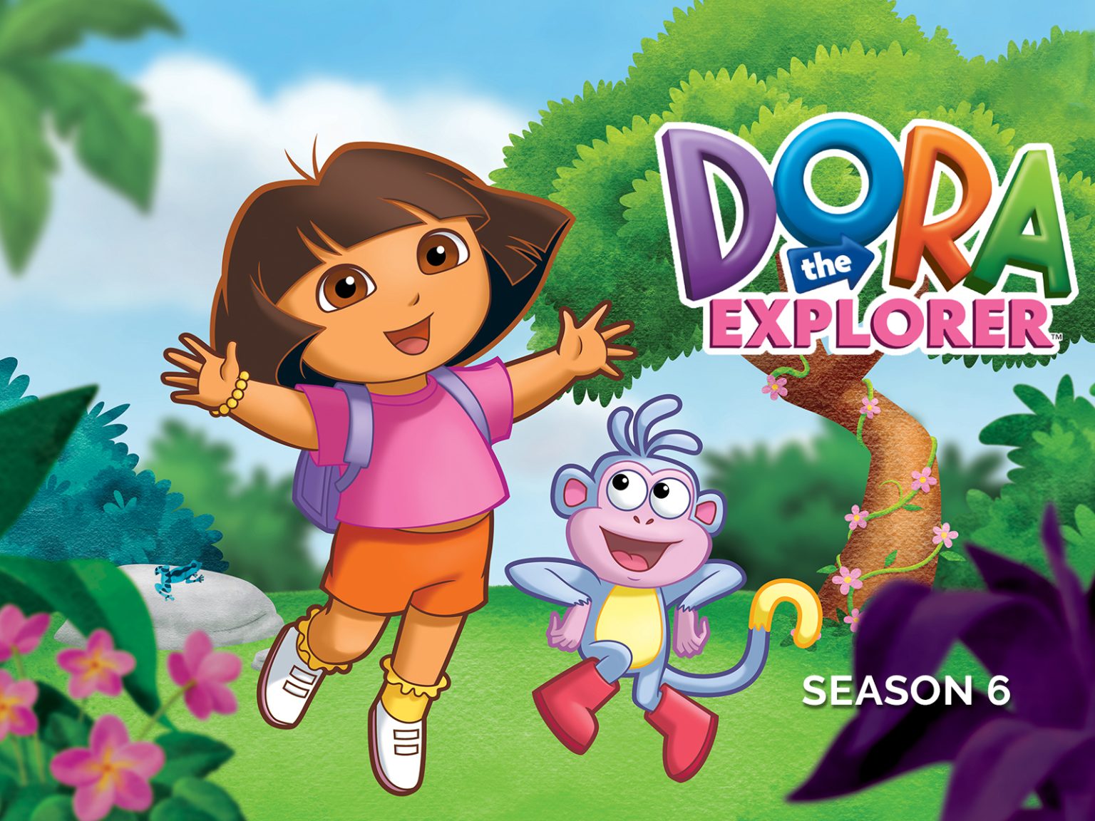 What Ethnicity Is Dora? Investigating the Ethnicity of a Cartoon Icon ...