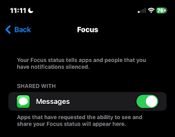 share focus status not working